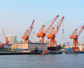 Quy trình làm thủ tục hành chính tại cảng tại Lê Vy Logistics Bước 4 1